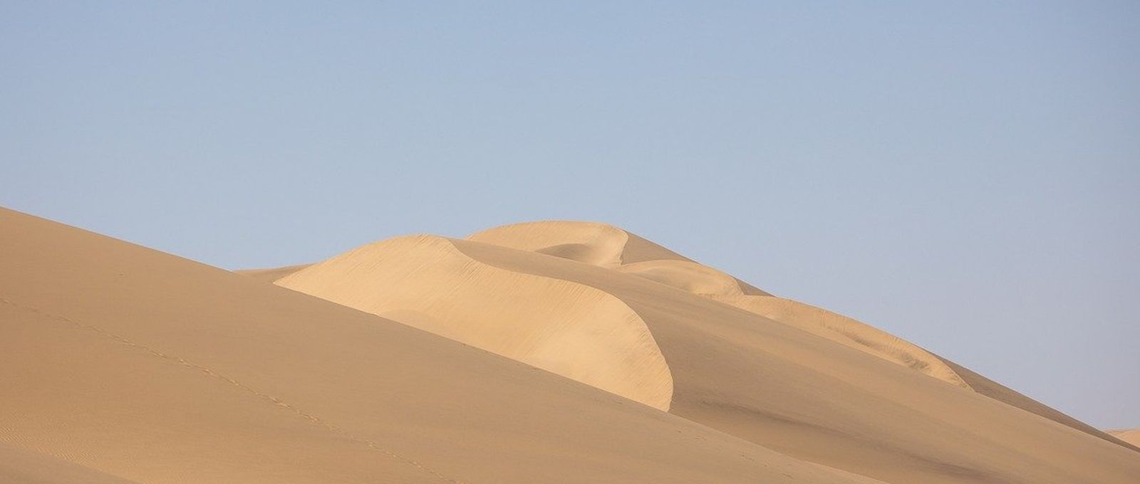 Sahara